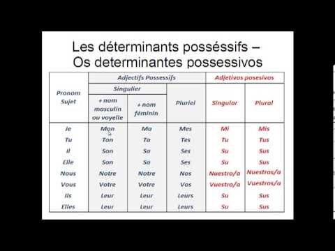 Entendendo os Determinantes Possessivos em Franc&ecirc;s
