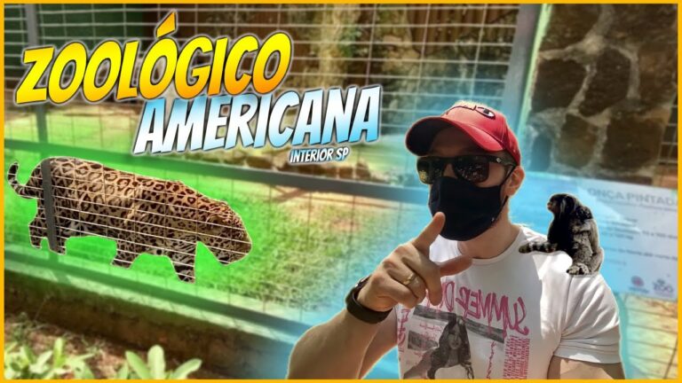 Descubra o Zoológico Mais Próximo de Você