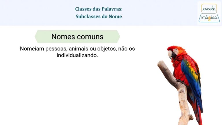 Entendendo Classe e Subclasse de Palavras para o 5º Ano
