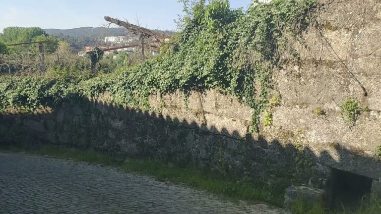 Vantagens do Agrupamento de Escolas Clara de Resende