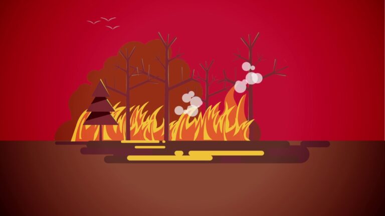Causas dos Incêndios Florestais: Entendendo os Fatores Contribuintes