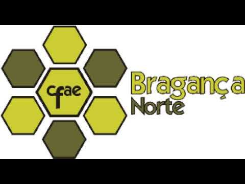 CFAE Bragança: Transformando a Educação na Região