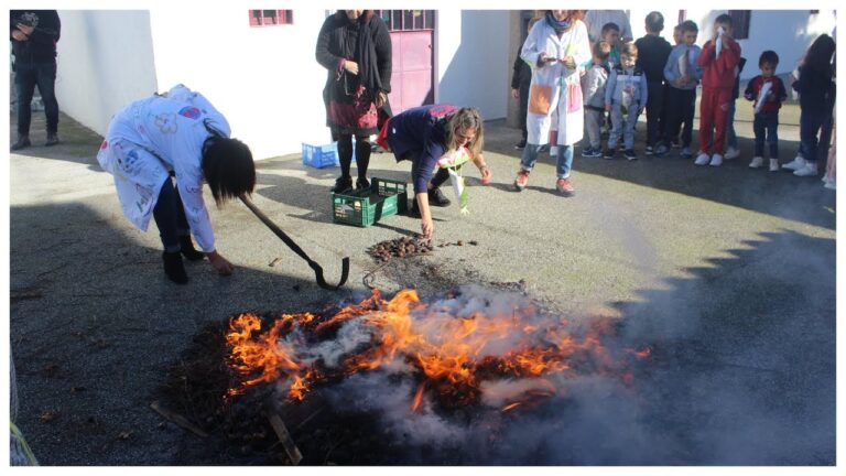 Transformando Vidas: A Escola de S&atilde;o Martinho como Modelo Educacional