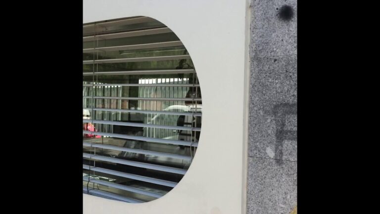O Impacto do Agrupamento de Escolas Dr. Mario Sacramento na Educação Local