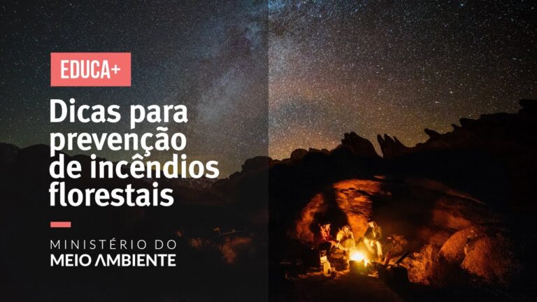Estratégias Eficazes para Prevenção de Incêndios Florestais