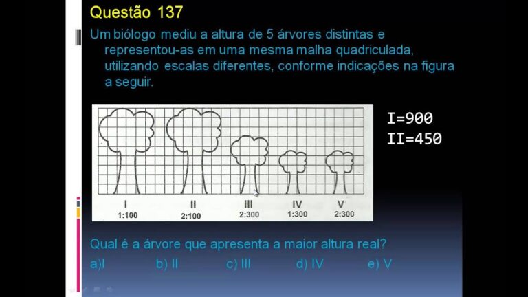 DL 137/2012: Entendendo suas Implica&ccedil;&otilde;es e Aplica&ccedil;&otilde;es