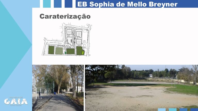 Escola Sophia de Mello Breyner: Educa&ccedil;&atilde;o de Excel&ecirc;ncia em Arcozelo