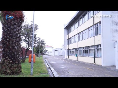 Vantagens do Agrupamento de Escolas em Ílhavo