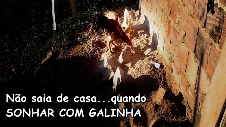 Significado de Sonhar com Galinhas Vivas