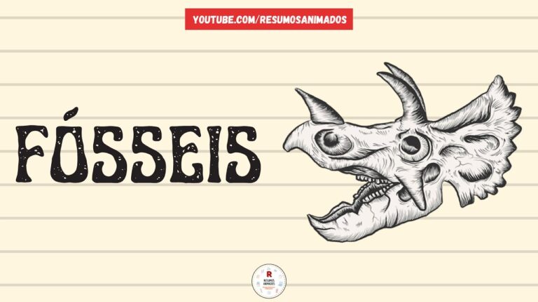 Resumos de Fósseis para o 7º Ano