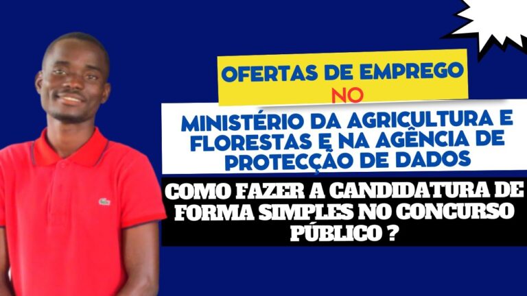Portal de Emprego Público: O Guia Completo para Oportunidades e Recursos