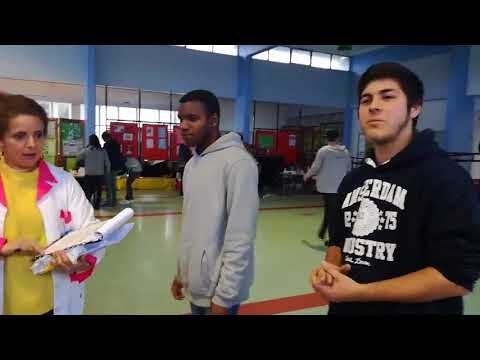 Transformação da Escola Secundária Linda a Velha: Desafios e Oportunidades