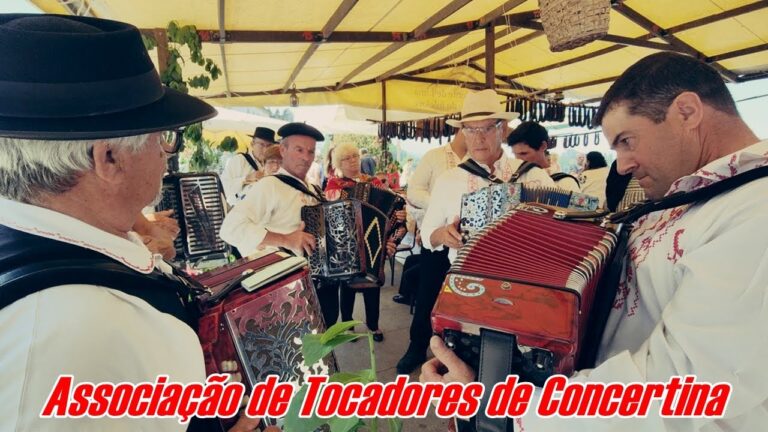 Explorando as Melhores Papelarias em Ponte de Lima