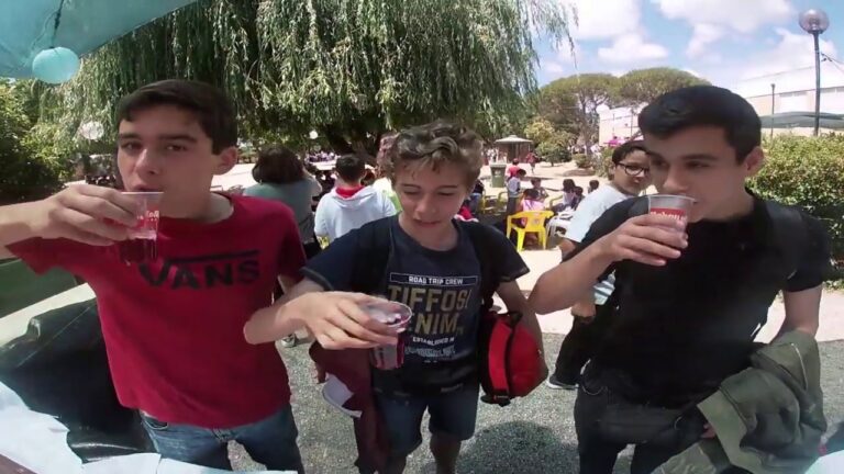 Agrupamento de Escolas em Santa Catarina, Oeiras: Uma Abordagem Eficiente