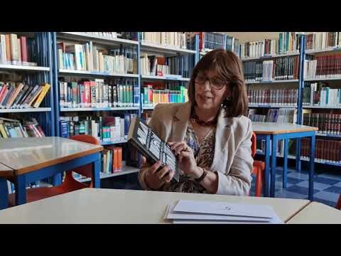 Melhorias no Agrupamento de Escolas Am&eacute;lia Rey Cola&ccedil;o