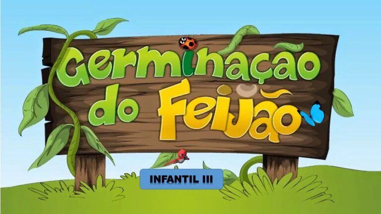 Fases da Germinação do Feijão: Um Guia Completo