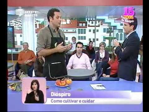 Diospiro Fau Fau: Benefícios e Cultivo