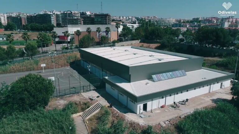 Escola Dom Dinis: Excelência Educacional em Odivelas