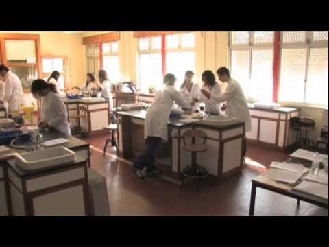 Transformando a Educa&ccedil;&atilde;o na Escola Secund&aacute;ria Leal da C&acirc;mara
