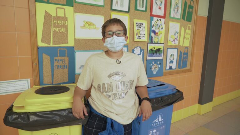 Agrupamento de Escolas Escultor Francisco dos Santos em Sintra: Uma Abordagem Educativa Inovadora