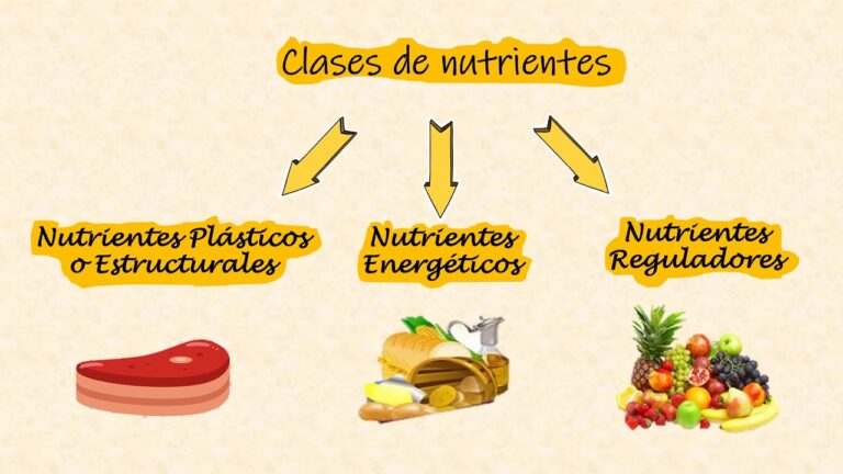 Distinguir Alimento de Nutriente: Entenda a Diferença