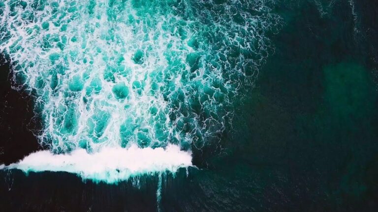 Confer&ecirc;ncia dos Oceanos em Lisboa: Desafios e Oportunidades para o Futuro Marinho