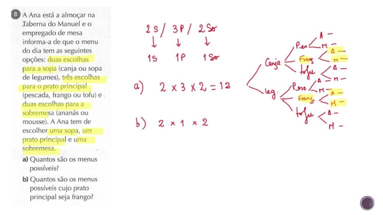 Resolução Manual de Problemas Matemáticos para o 12º Ano