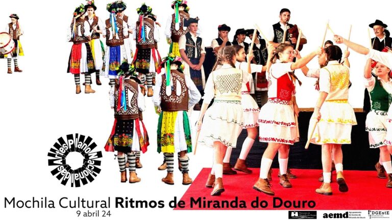 Inovação e Desempenho na Escola Secundária de Miranda do Douro