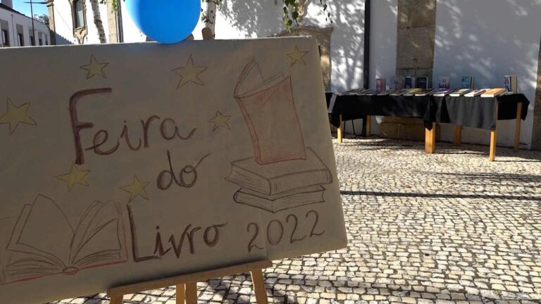 Feira do Livro de Viseu: Um Encontro Literário Imperdível