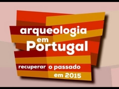Gatoes Matosinhos: Descubra a Magia da Cidade das Areias Douradas