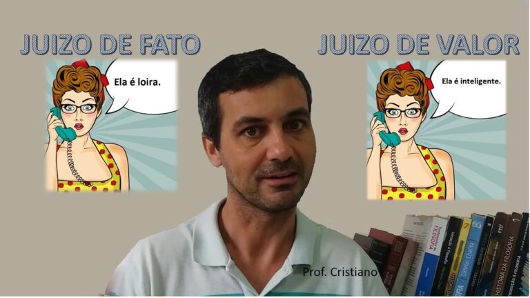 Juízos de Facto: Compreendendo a Prática Judicial na Realidade Brasileira