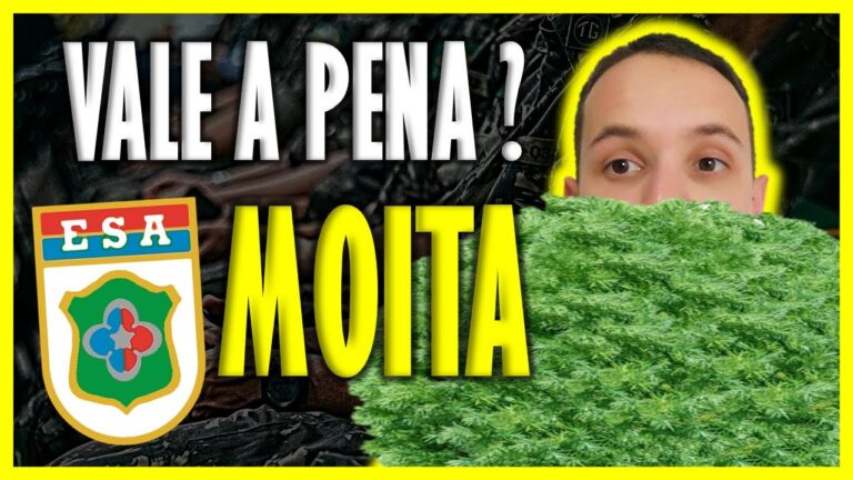 Cursos Oferecidos na Escola Secund&aacute;ria da Moita