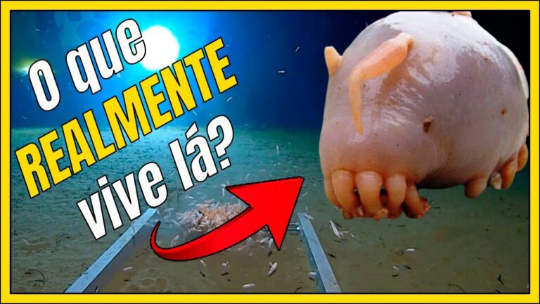 Fossa das Aleutas: Um Tesouro Marinho Desconhecido