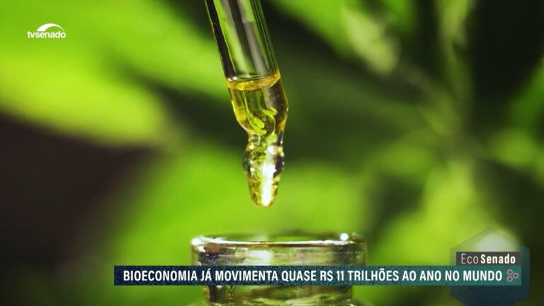 Exemplos de Bioeconomia em Ação