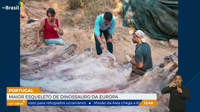 Fosséis em Portugal: Descobertas e Importância Geológica