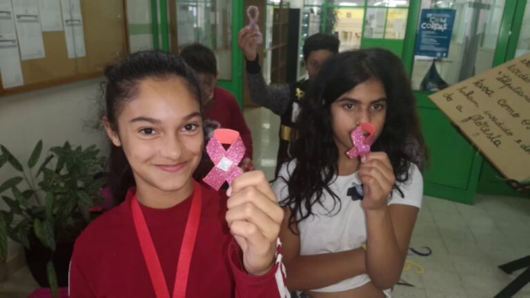 Avalia&ccedil;&atilde;o Externa das Escolas: O Papel do IGEC