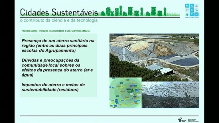 A Import&acirc;ncia do Agrupamento de Escolas Dr. Mario Fonseca na Educa&ccedil;&atilde;o P&uacute;blica