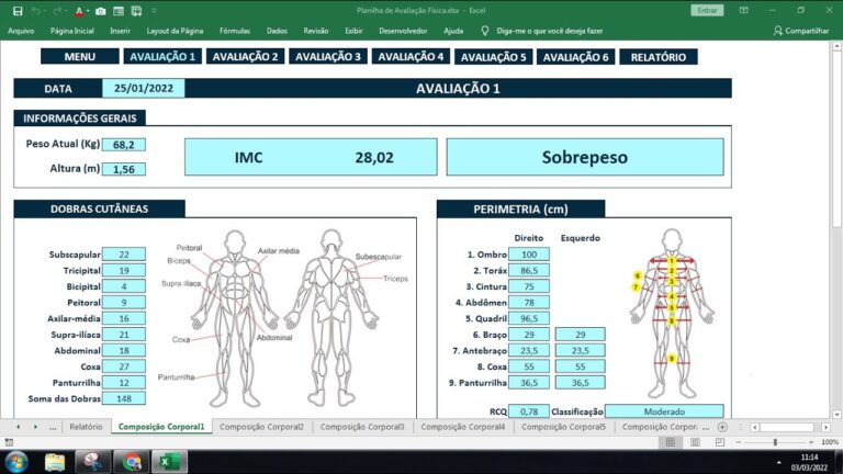 Ficha de Avaliação Física em Excel: Guia Prático para Profissionais