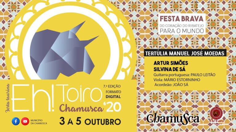 A Ascens&atilde;o de Paulo Neto Terrugem no Cen&aacute;rio Digital