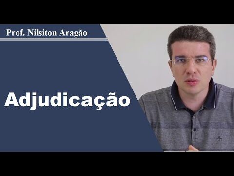 Relação entre Adjudicatário e Adjudicante: Entendendo os Papéis