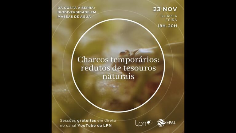Oportunidades de Trabalho Tempor&aacute;rio no Algarve