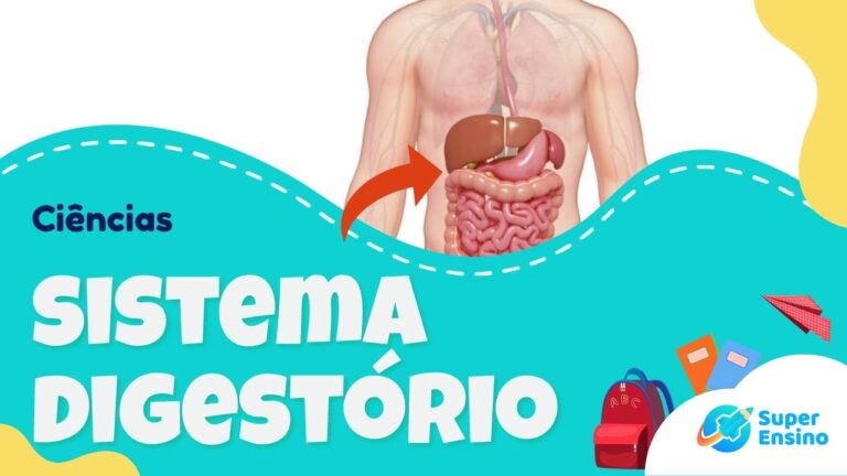 Explorando o Sistema Digestivo: Fichas de Ciências da Natureza para o 6º Ano