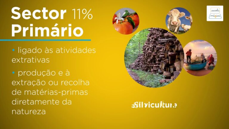 An&aacute;lise dos Setores de Atividade em Portugal