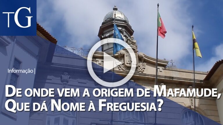 Bairros Sociais em Gaia: Nomenclatura e Significado