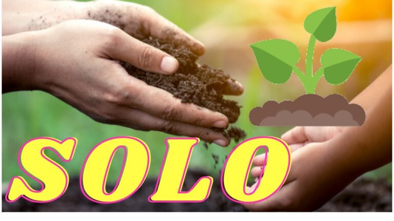 Atividades Práticas sobre o Solo para o 5º Ano
