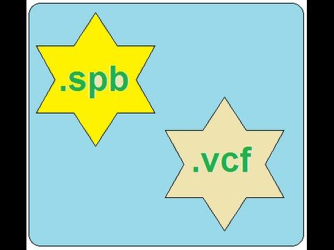 Como Utilizar SPB Contactos para Otimizar sua Rede de Contatos