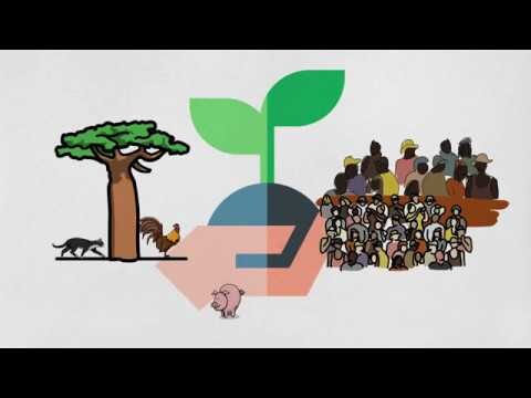 A Essência da Preservação da Natureza