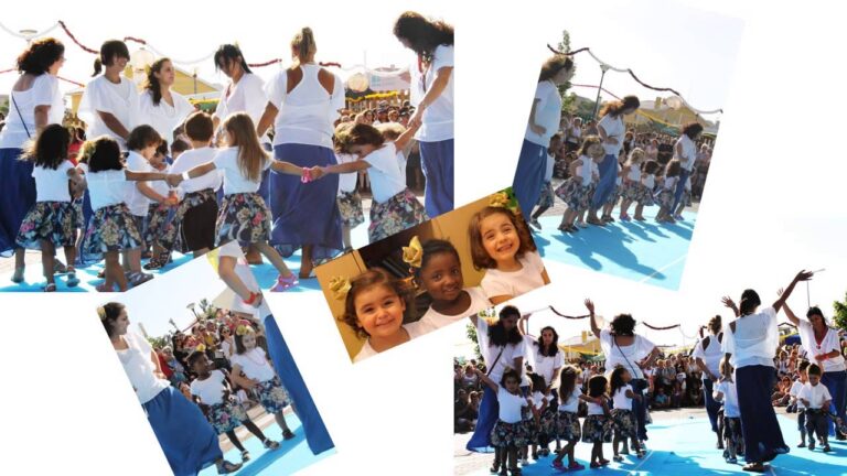 Instituto para o Desenvolvimento Educativo Integrado na Ação