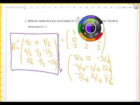 Matrizes Regulares: Fundamentos e Aplicações