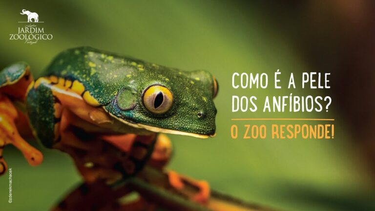 Mist&eacute;rios e Curiosidades dos Animais de Pele Nua